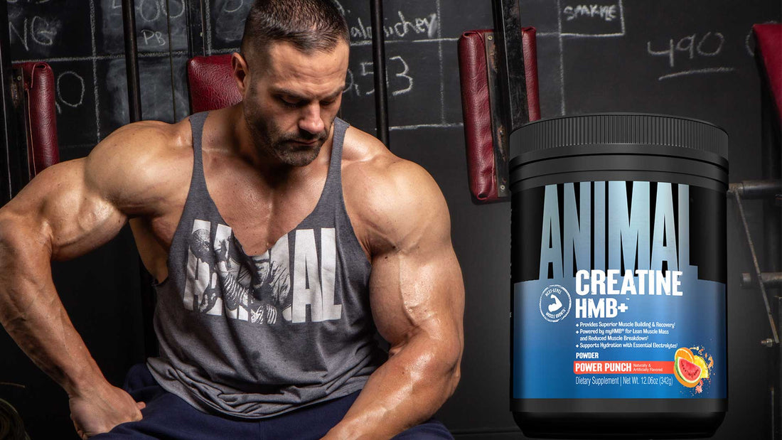 Why Creatine & HMB+ is a Power Combo