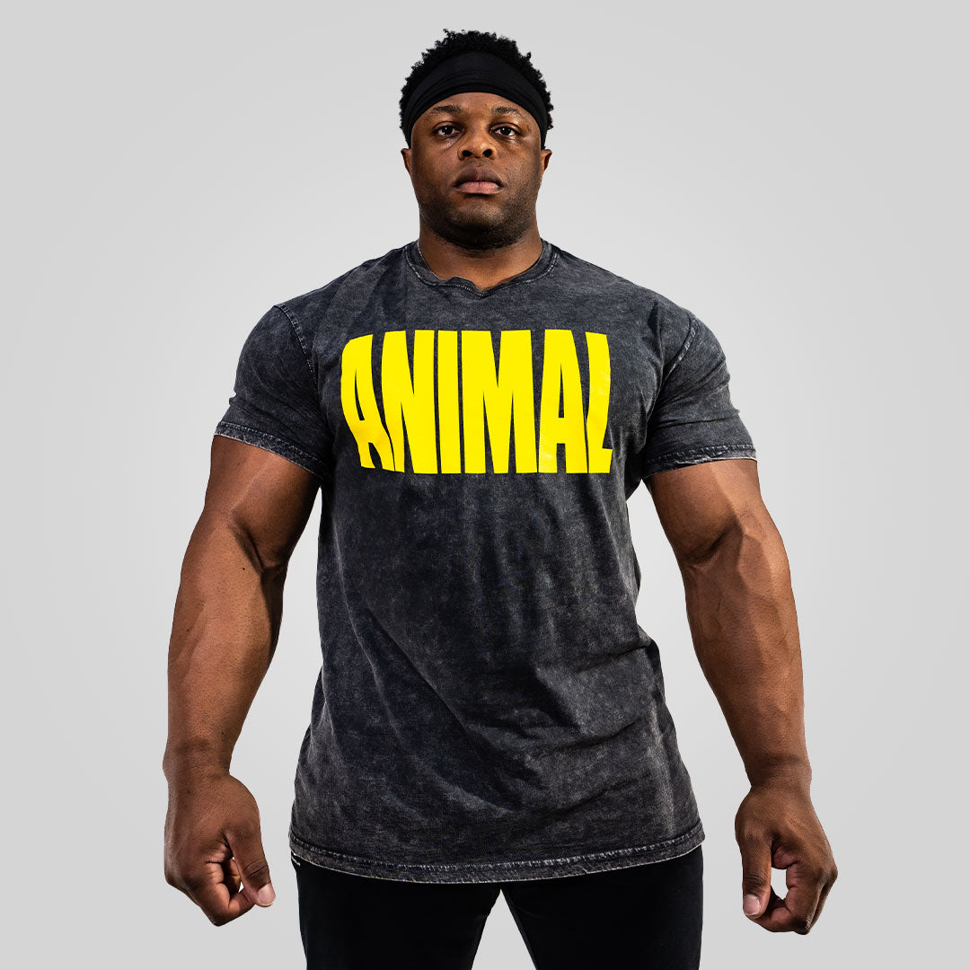 Animal Acid Gray Iconic Tee – Animal Pak