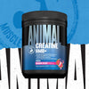 Creatine HMB+ Dragon Berry Powder