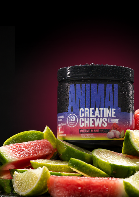 A tub of Animal Creatine Chews protein powder sits surrounded by sliced watermelon and lime wedges on a dark red-to-black gradient background.