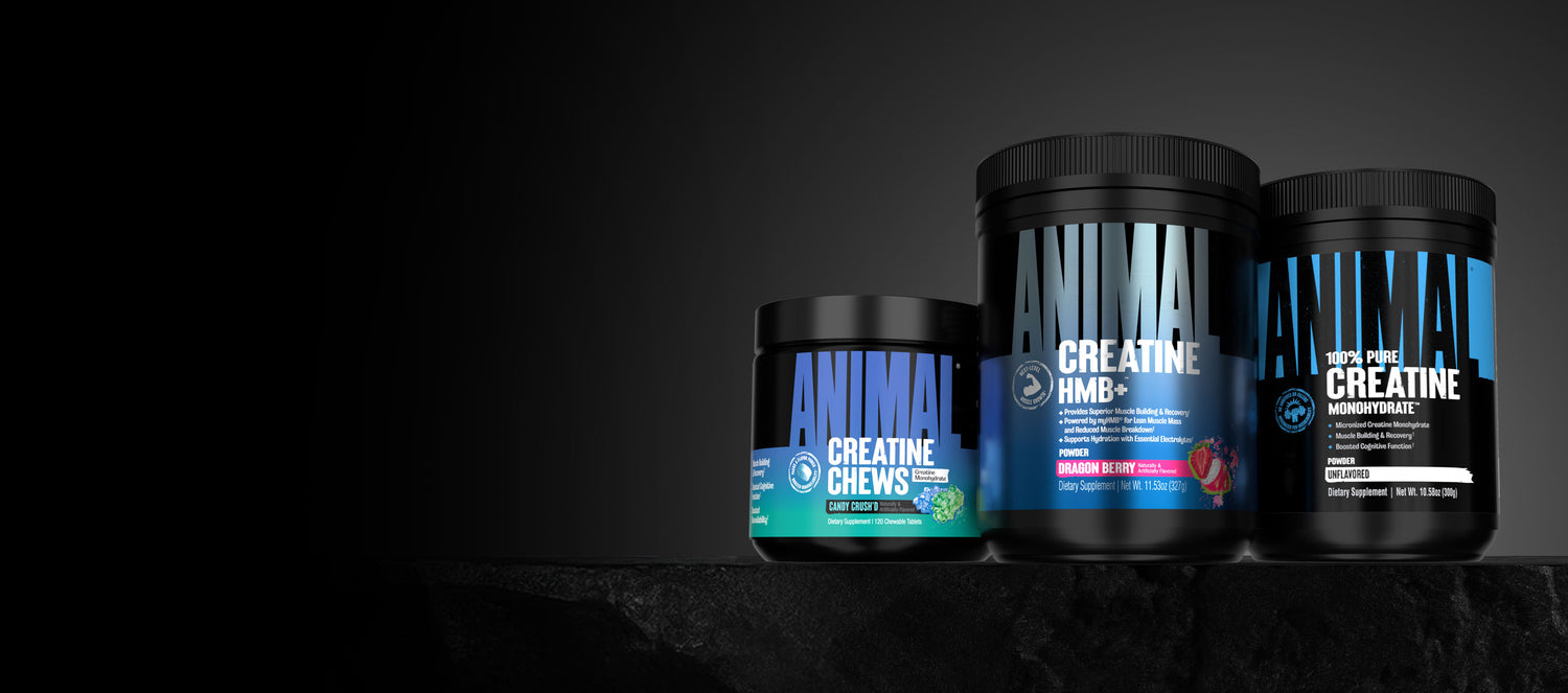 Creatine Solution For Every Lifestyle