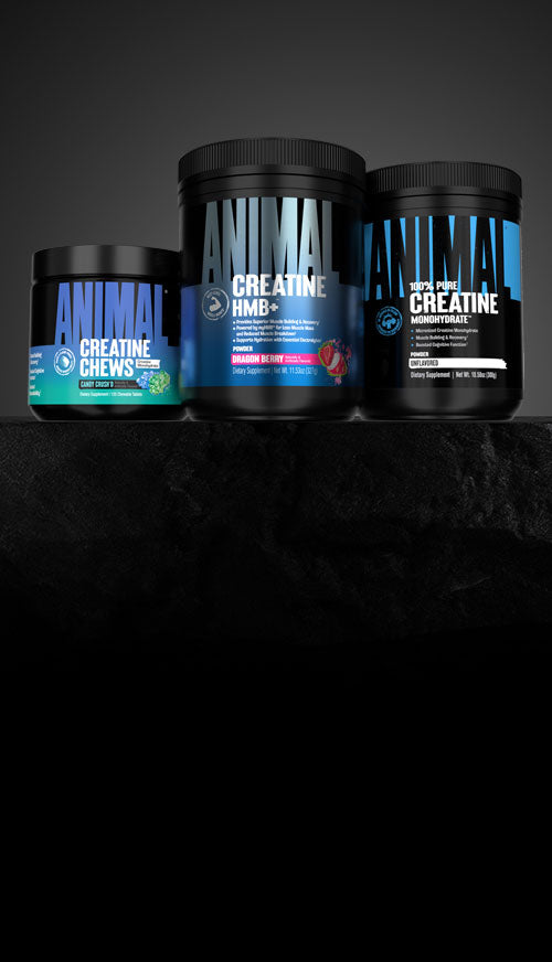 Creatine Solution For Every Lifestyle