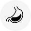 Digestion & Gut