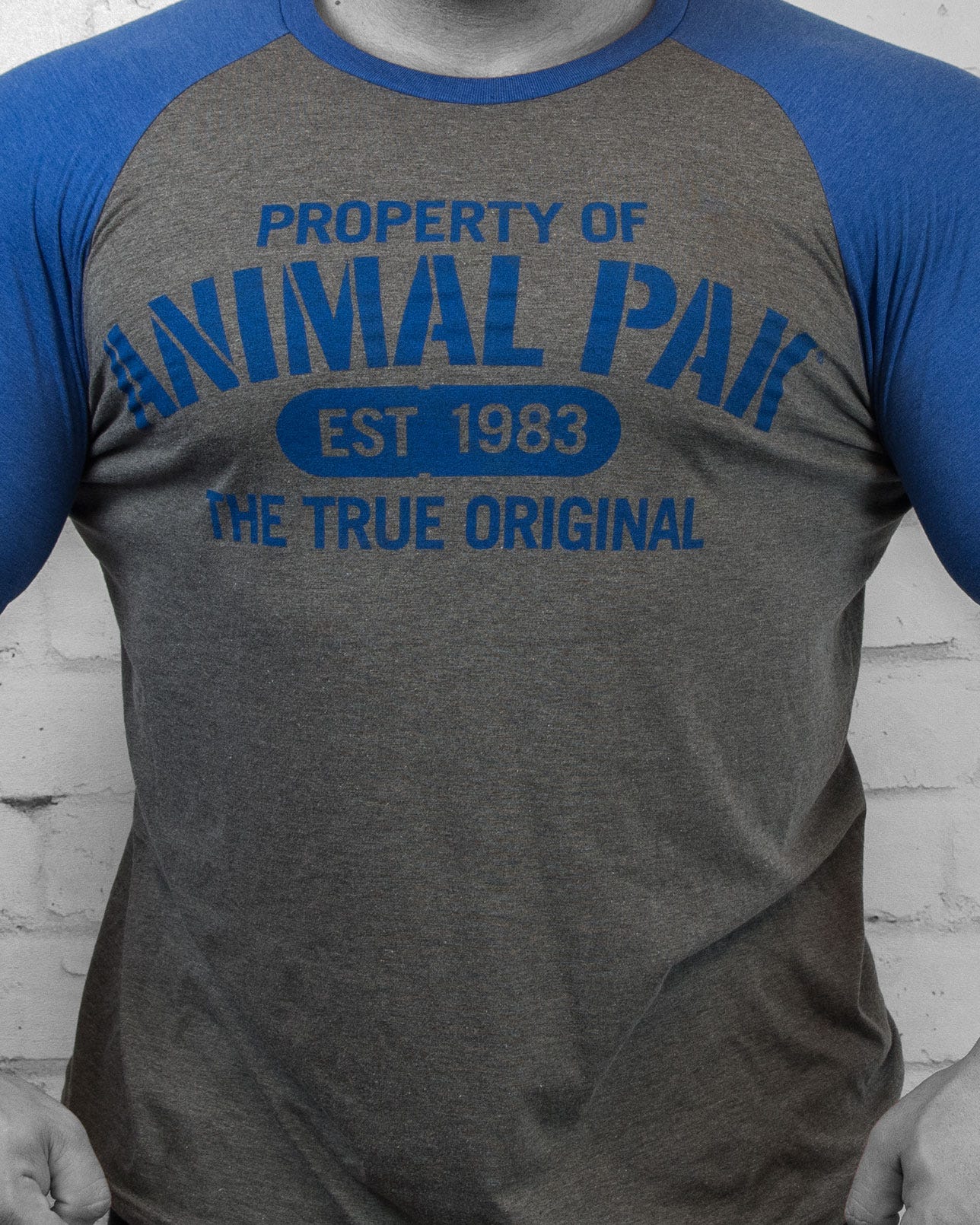 propertyroyalbluebaseballtee