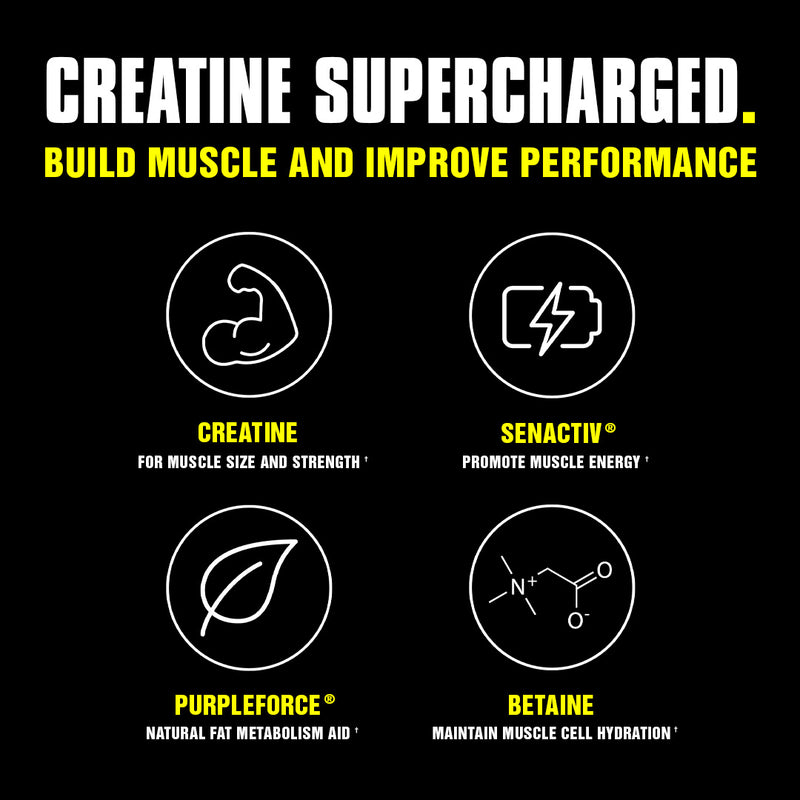 Animal Creatine XL Builds Muscle and Improves Performance