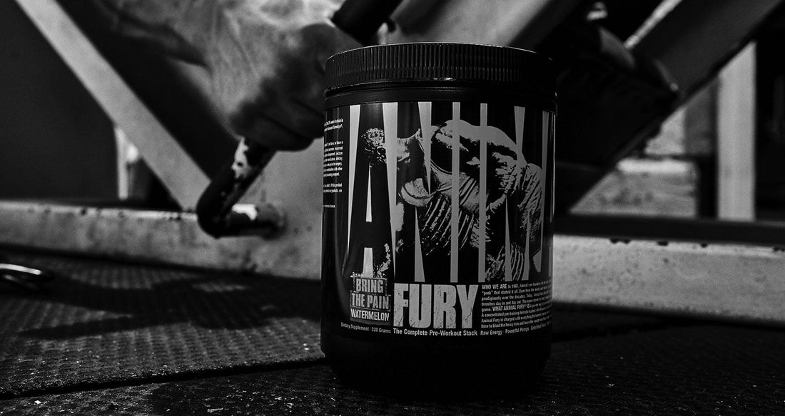 Animal Fury is Here: Bring The Pain