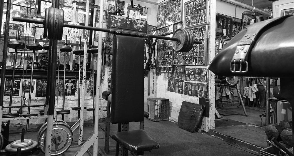 Build Your Delts