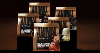 Best Protein Powder