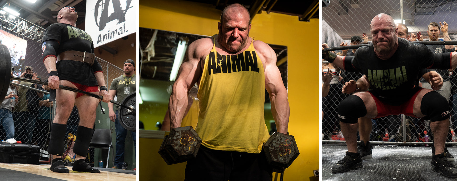 Animal Pak: The Product That Created a Brand (2023 Updates)