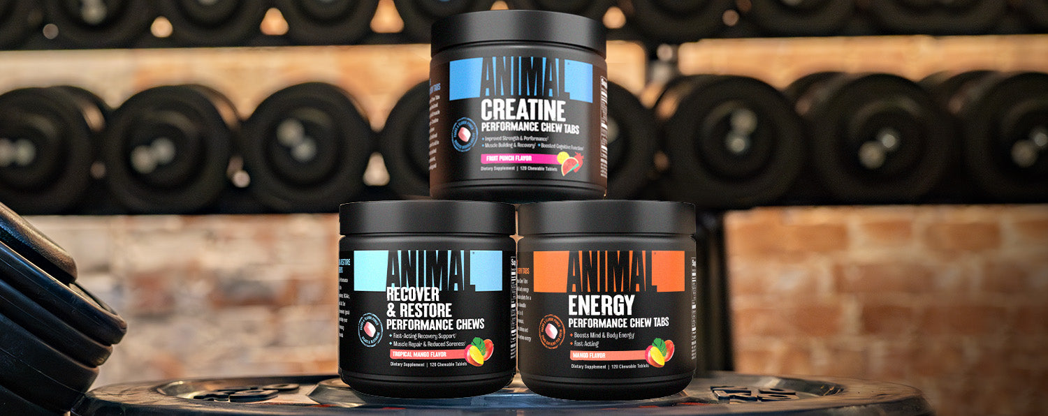 Animal TNT+ Testosterone Booster: Muscle Building Supplements for Men – Animal  Pak