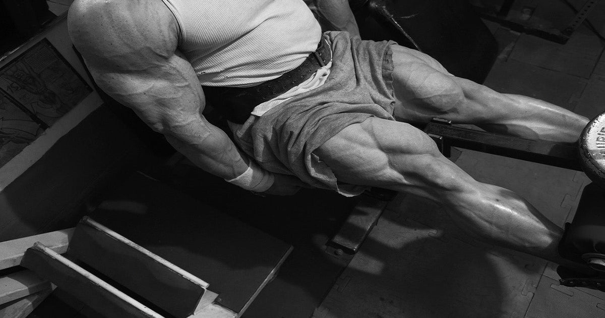Start Bodybuilding with the Hell Raiser 12-week Training Program ...