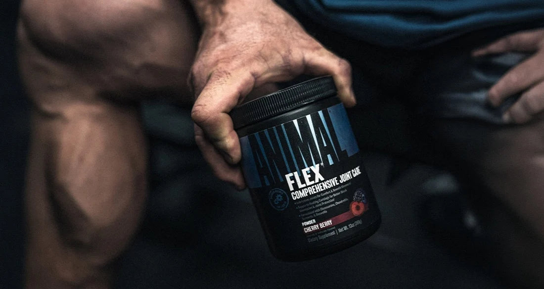 Best Joint Supplement