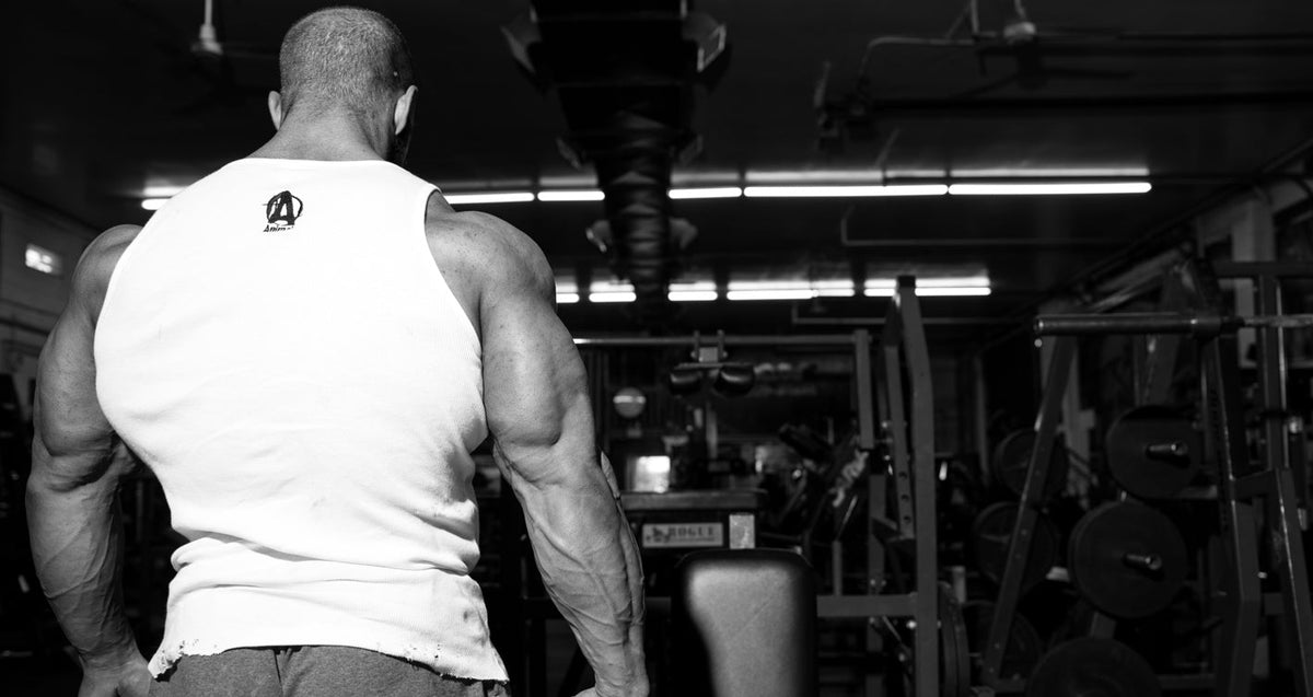 How Not To Fail At Post Show Rebound