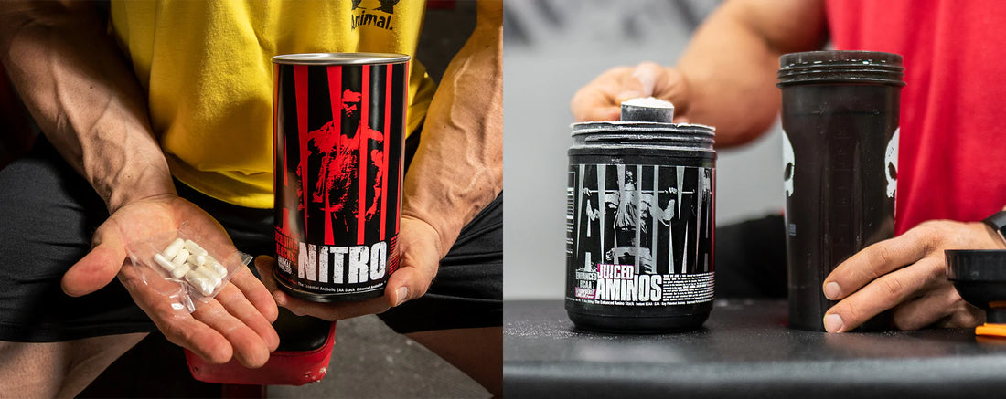 IFBB Pro Evan Centopani shares a complete guide to Essential Amino Acids - their benefits, how much is enough, timing, and who can take them.