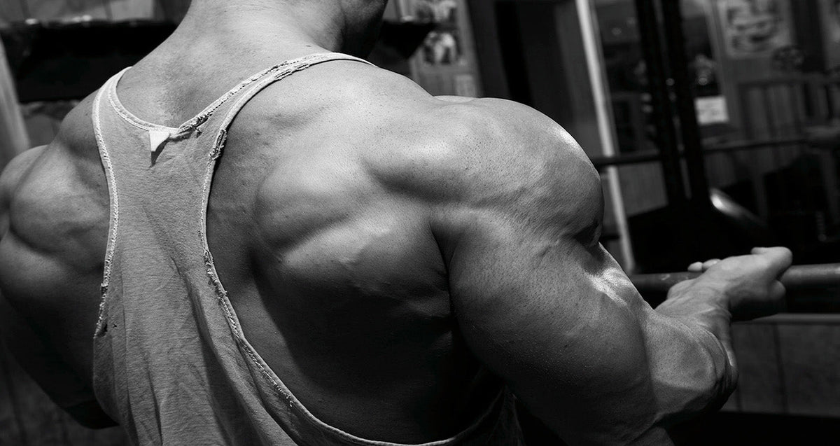 Powerbuilding, Volume 4