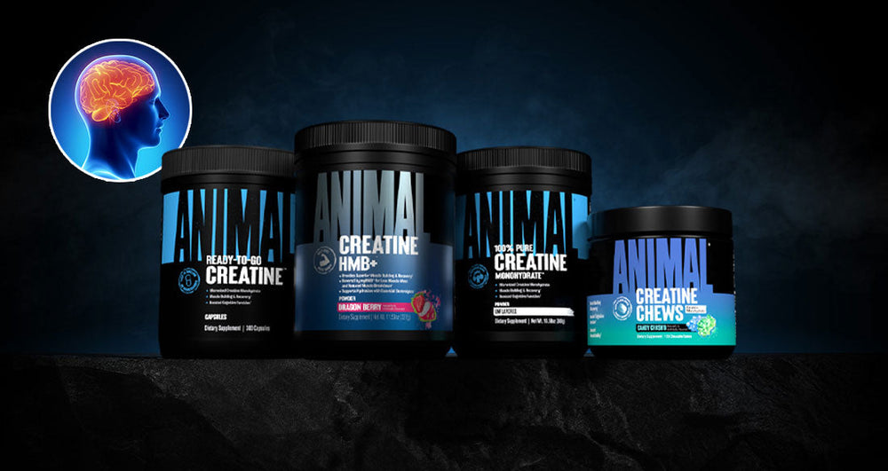 The Supplement That Powers More Than Muscle
