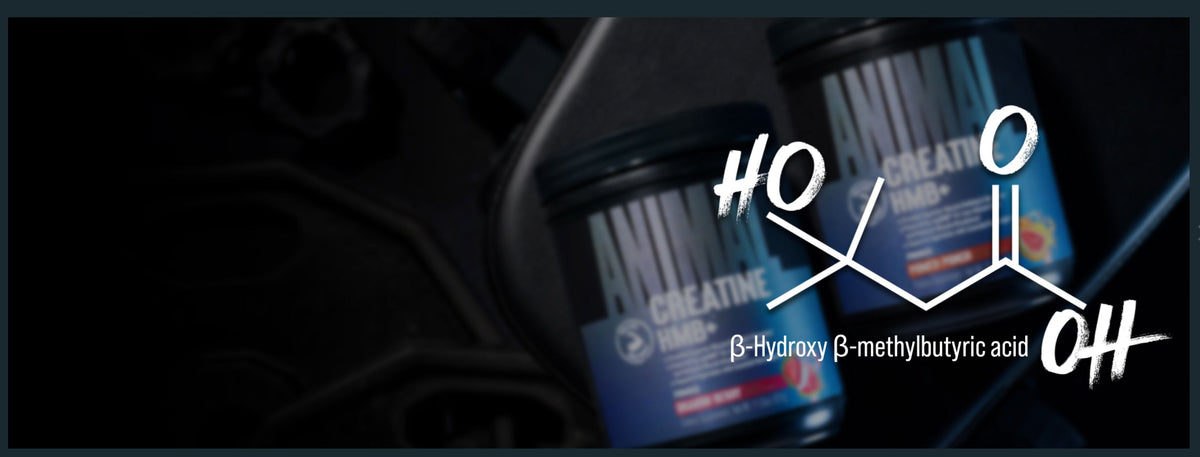 HMB: The Great Amplifier