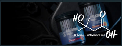 HMB: The Great Amplifier