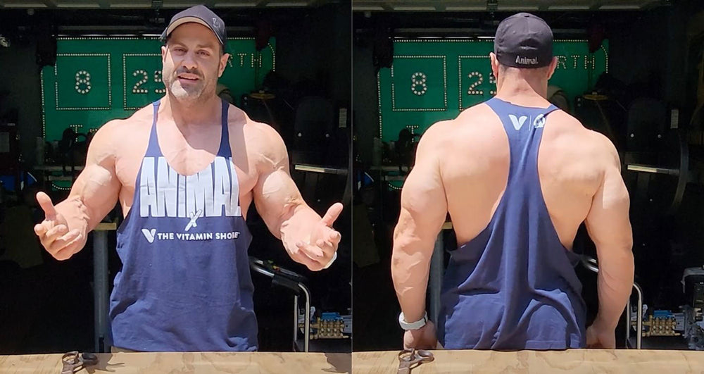 no-nonsense gym stringer