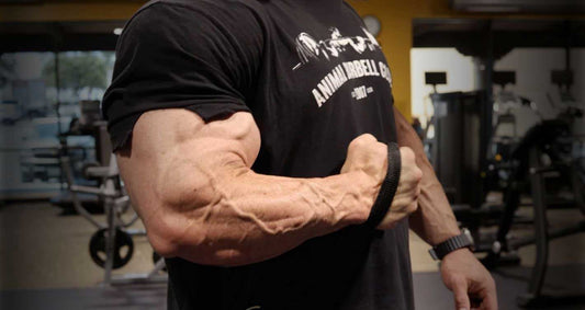 Training for Massive Forearms