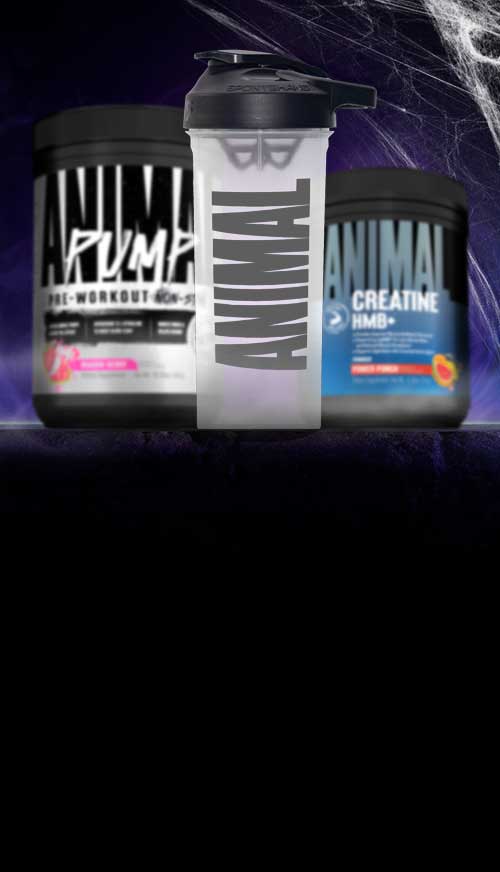 All Treats, No Tricks