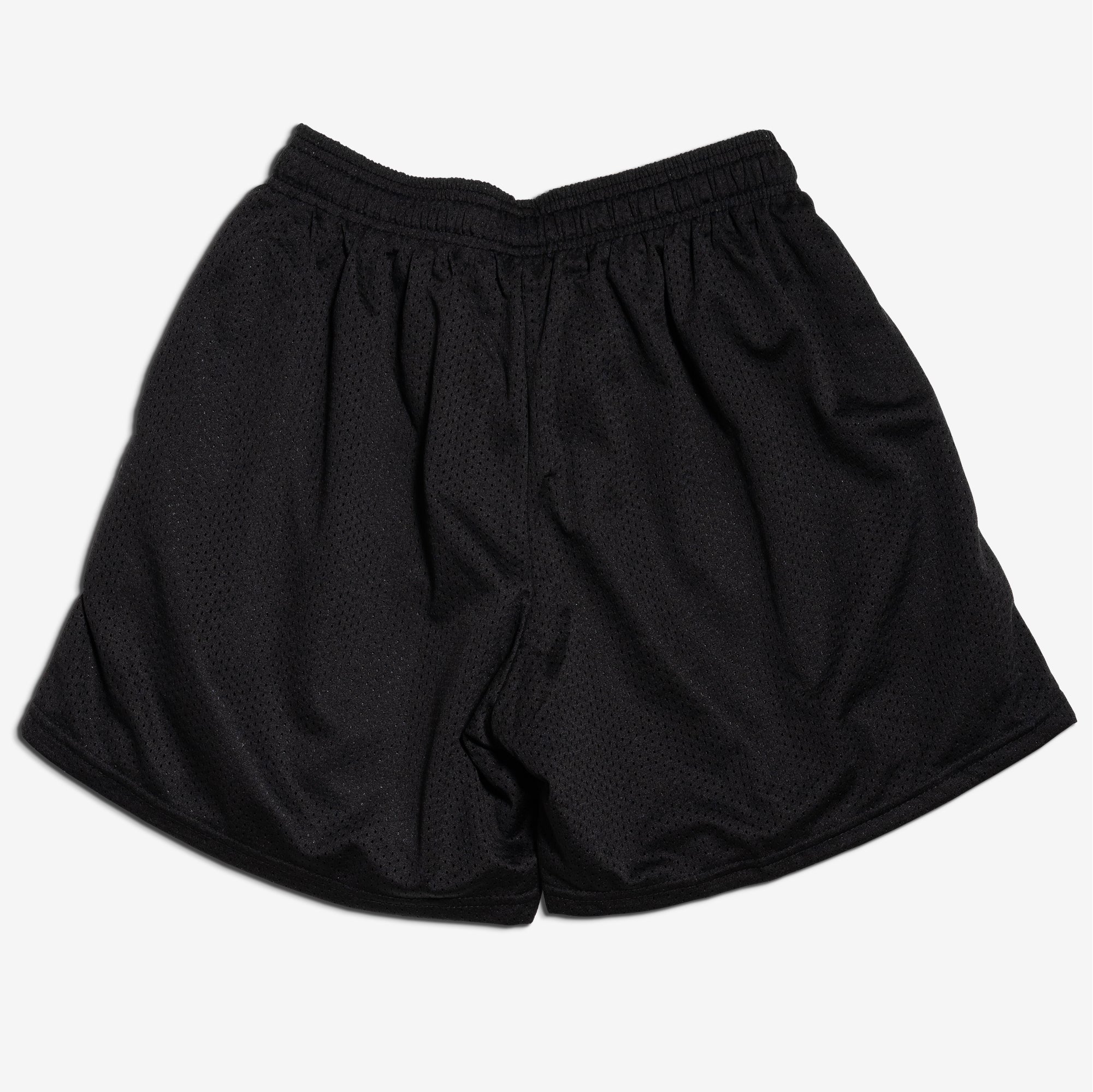Core Mesh Shorts | Animal Pak