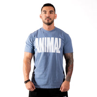 Iconic Tee Slate Blue