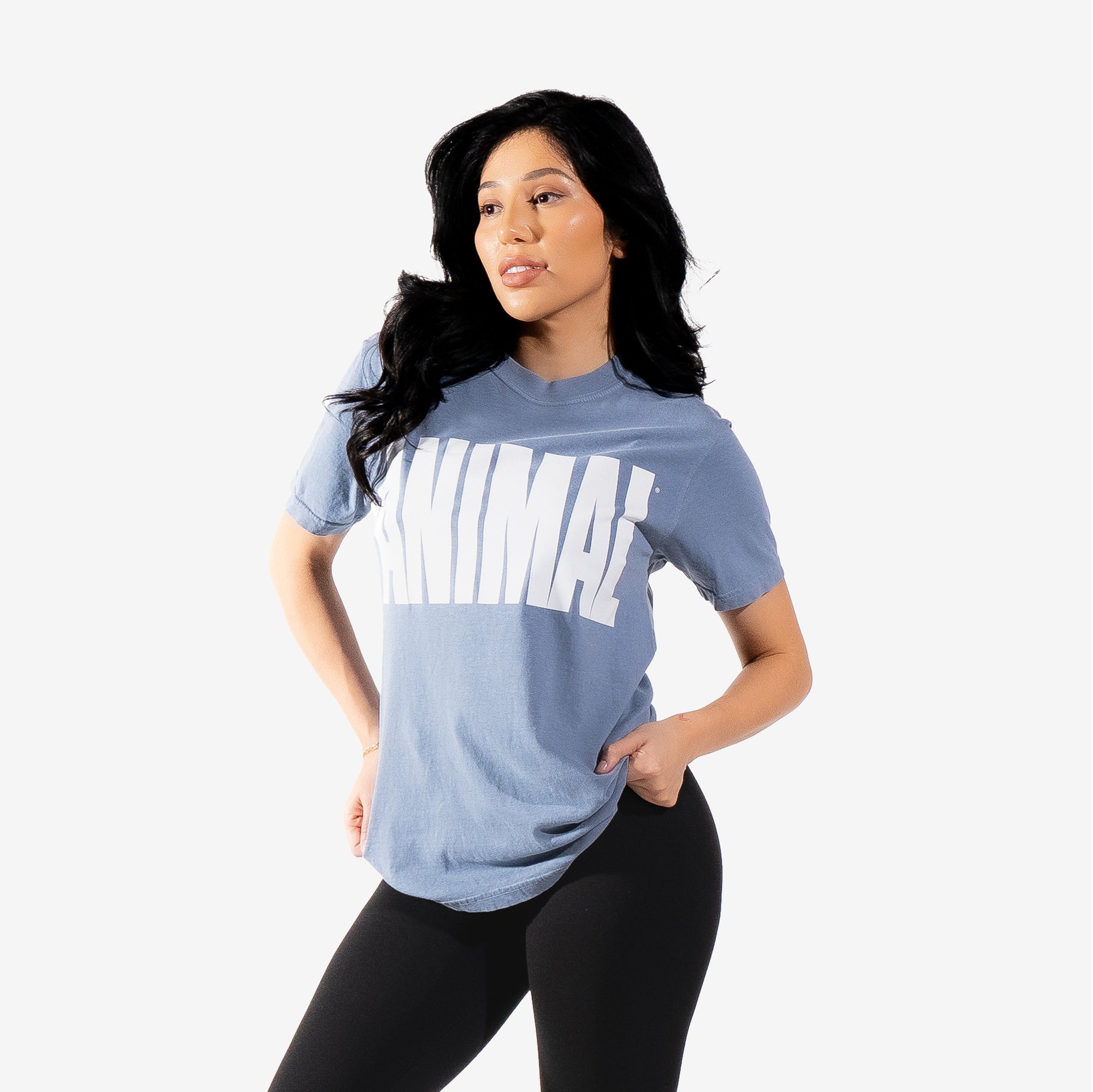 Iconic Tee Slate Blue