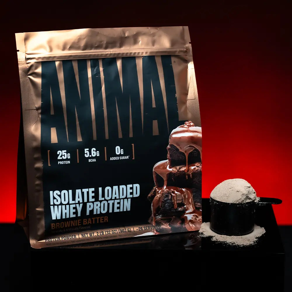 Best Protein Powder