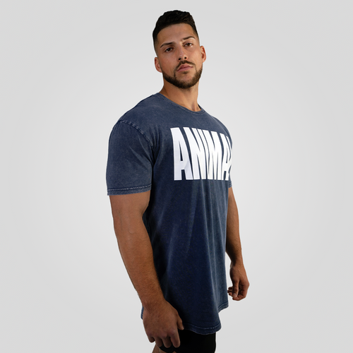 Animal Acid Navy Iconic Tee
