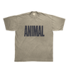 2025 Animal Iconic Tan Tee