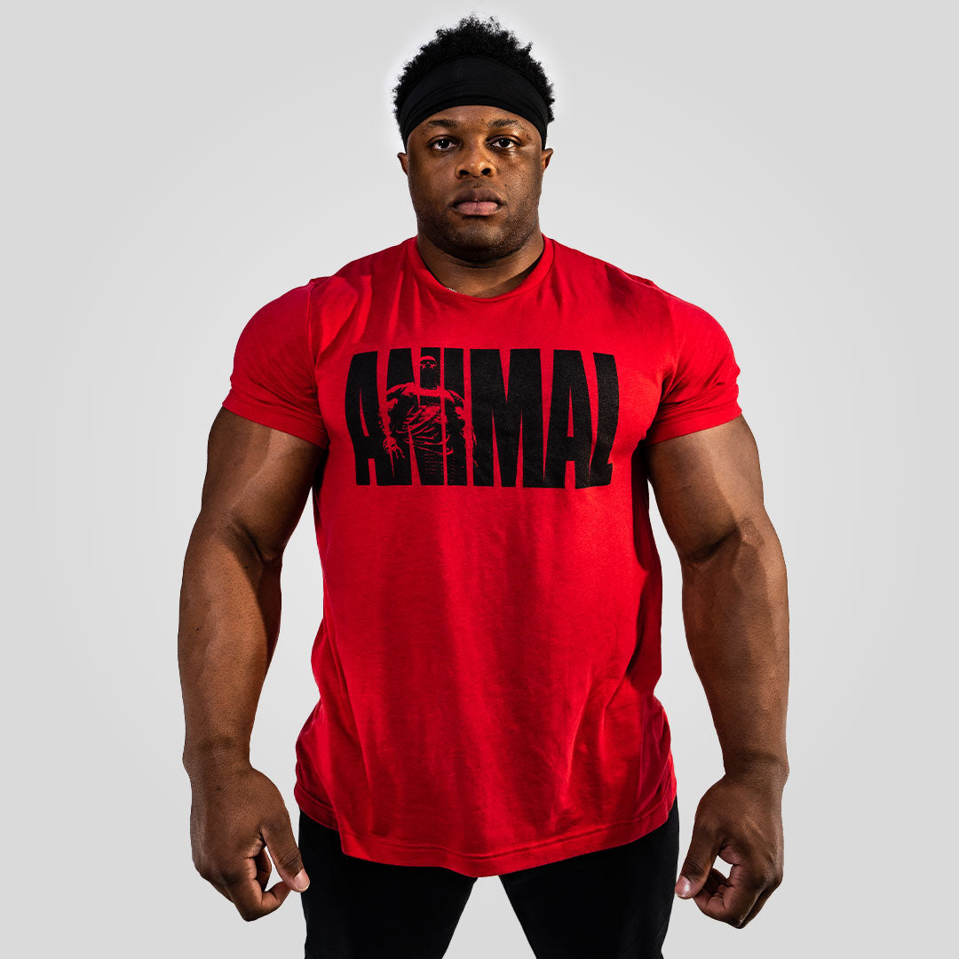 ALL APPAREL & ACCESSORIES