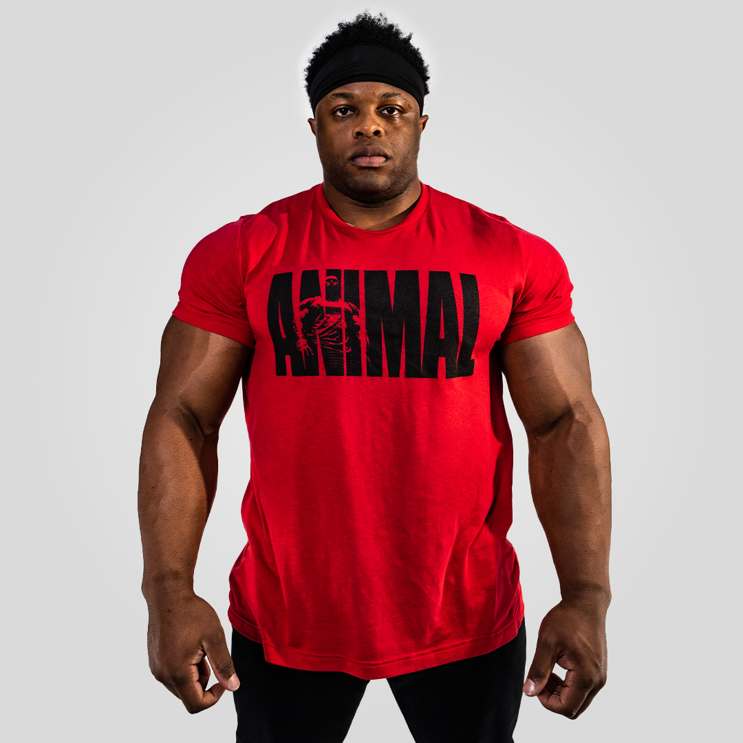 ALL APPAREL & ACCESSORIES