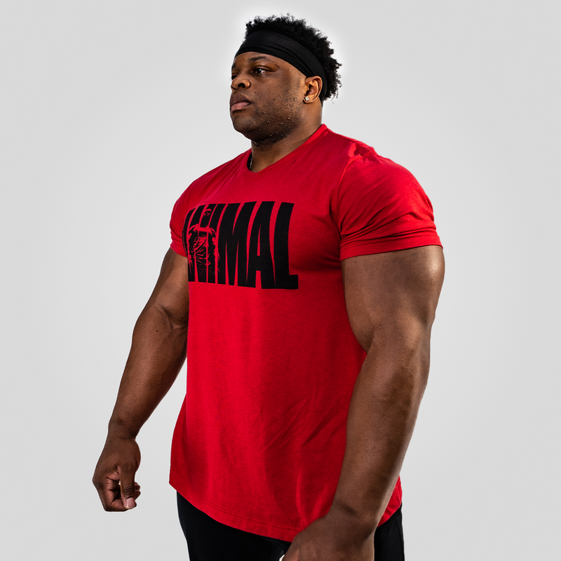 Animal 