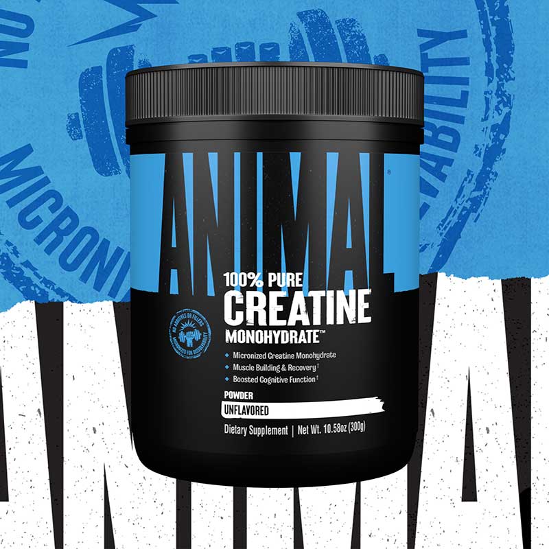 Creatine Monohydrate Supplement