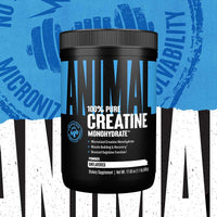 Creatine Monohydrate 500g 43990825730368