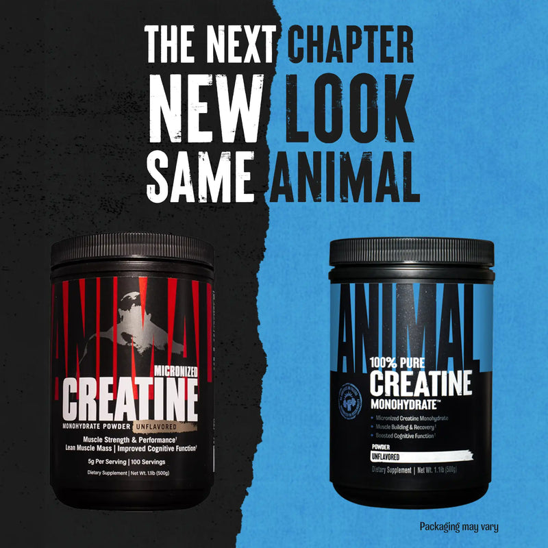 https://www.animalpak.com/cdn/shop/files/Creatine_unflavored_500G_NewLook_2000x2000_6ae4ba15-5c19-422d-9dfd-1716da7a1050.webp?v=1697531519&width=800