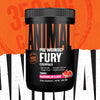 Animal Fury