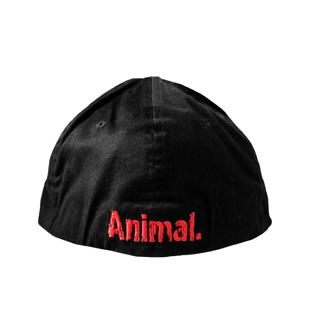 Animal A Offset Red Logo Cap