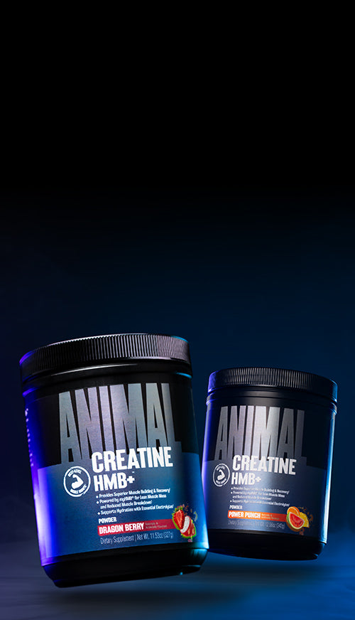 Creatine HMB+ Powder: Muscle Building Supplements | Animal Pak