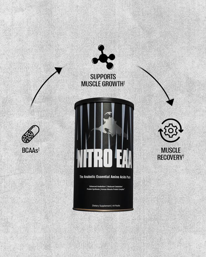 Animal Nitro Amino Acid Pill Packs: EAA BCAA Supplements – Animal Pak
