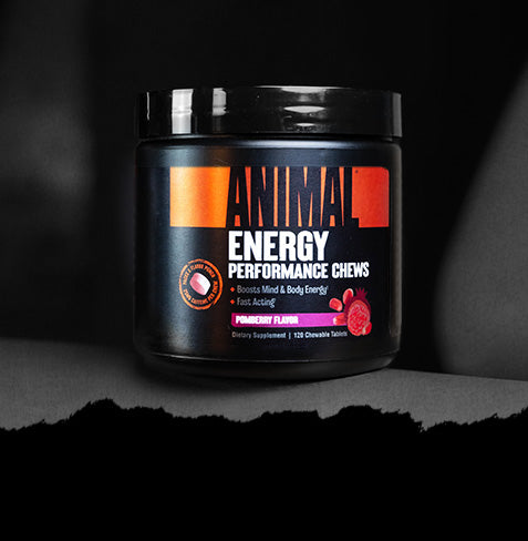 Animal Energy Performance chews on bench