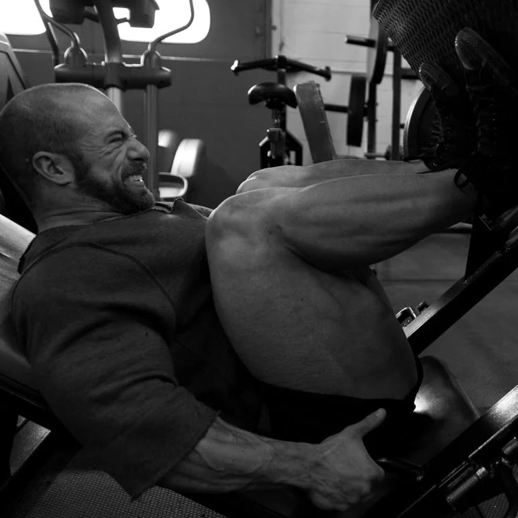 Bulking To Cutting Mobile