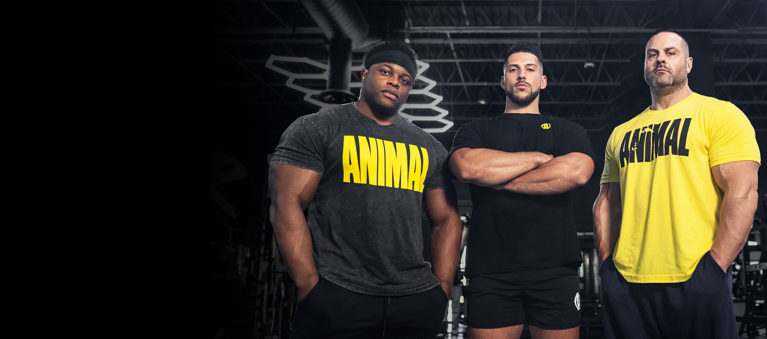 Three men wearing 'Animal' shirts in a gym setting