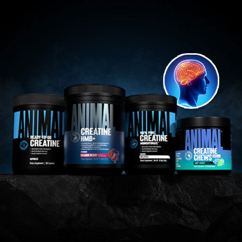 The Supplement That Powers More Than Muscle