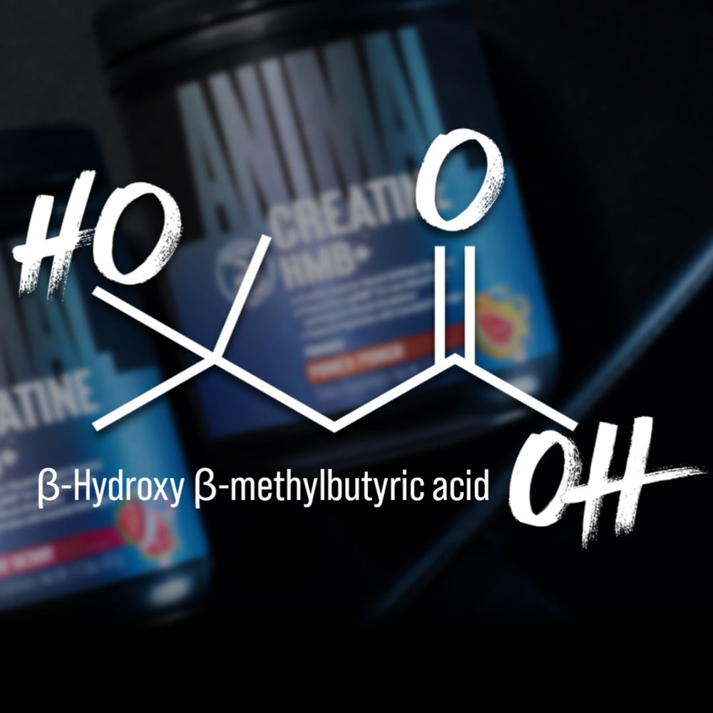 HMB: The Great Amplifier