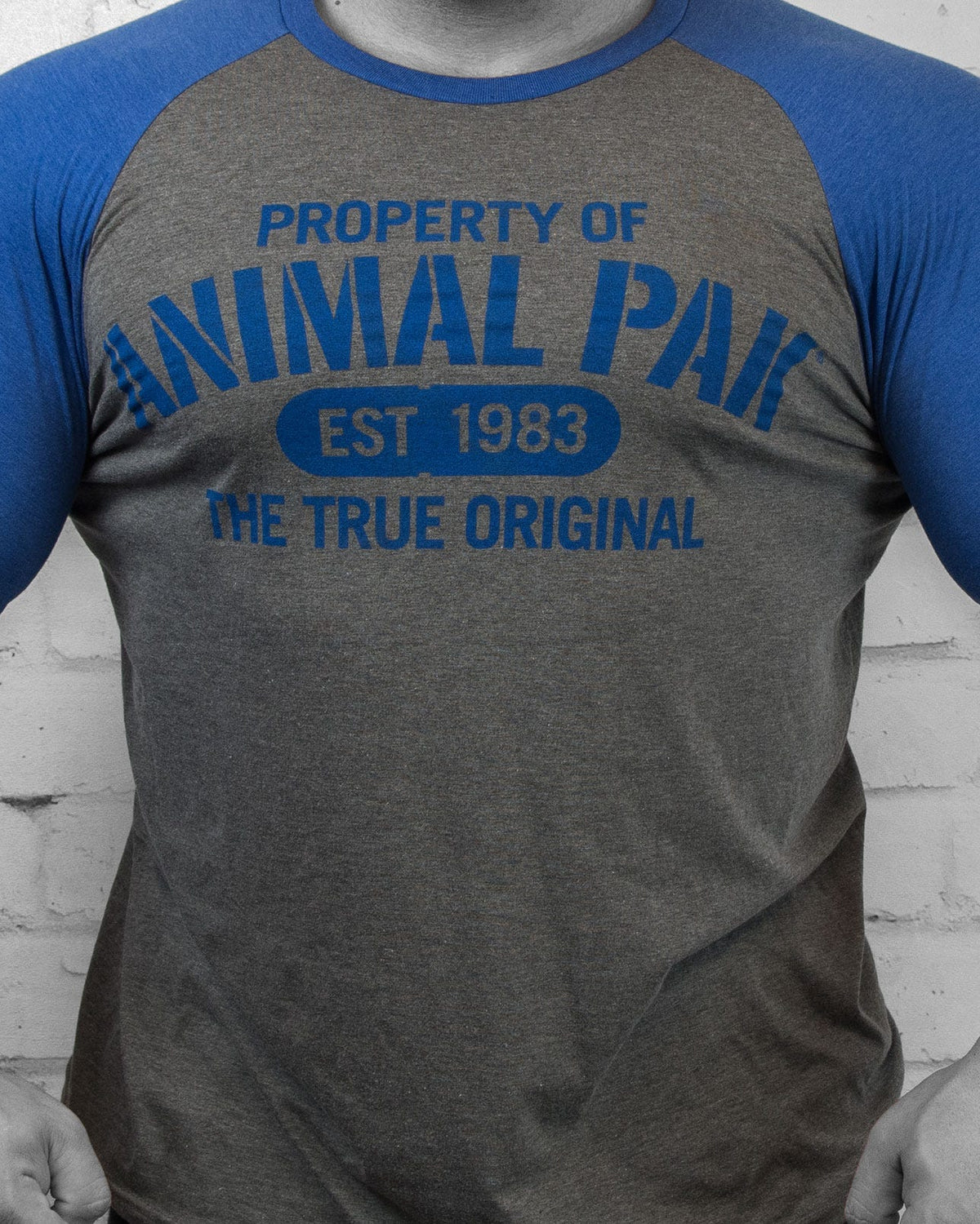 propertyroyalbluebaseballtee