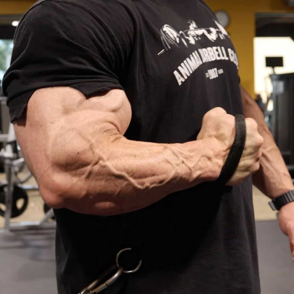Training for Massive Forearms
