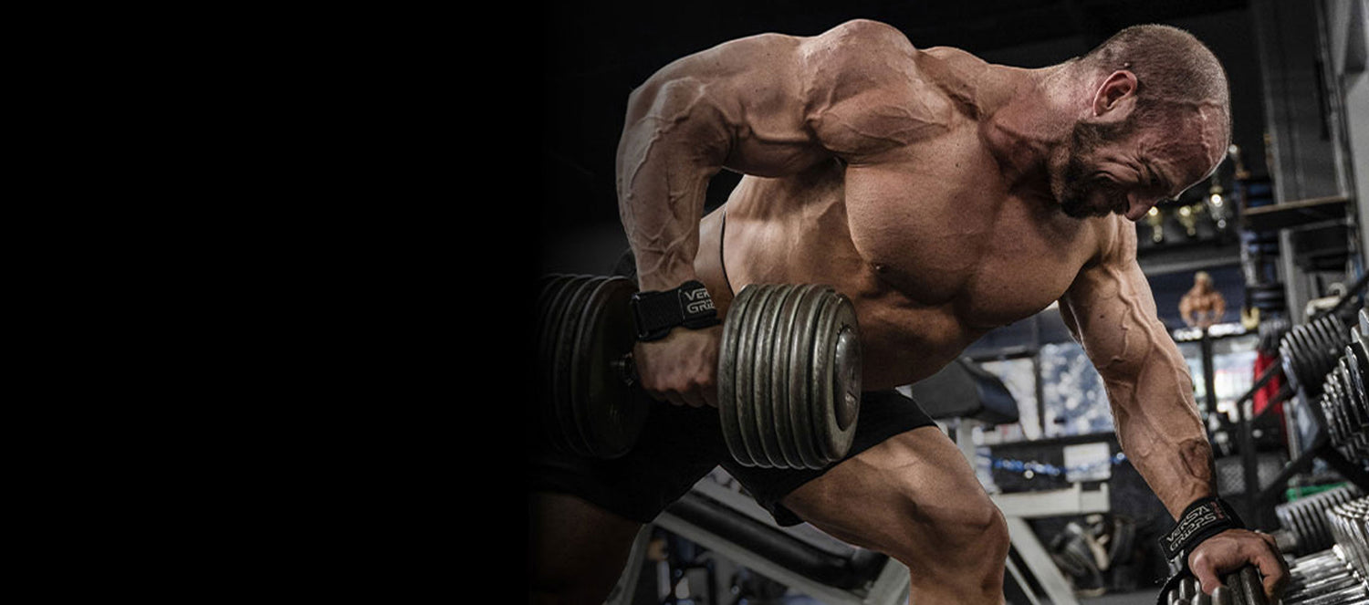 training_progress_desktop