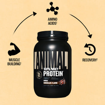 Animal 100% Whey Protein Isolate Powder: Protein Supplements & Animal Pak
